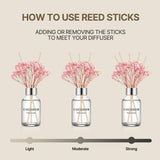 Cocodor Blumendiffusor 100ml (3,4oz) – Schwarze Kirsche