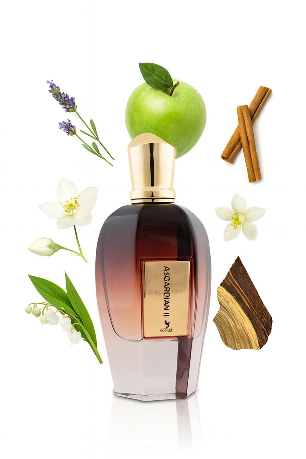 "Volare Asgardian II Eau de Parfum 100 ml – kraftvoller Duft mit Lavendel, Oud und Vanille"

"Volare Asgardian II Parfum – eleganter, würzig-holziger Duft mit Jasmin und weißem Moschus"

"Volare Asgardian II – intensiver Unisex-Duft mit Lavendel, grünem Apfel und Zimt"

"Volare Asgardian II Eau de Parfum – luxuriöser Duft mit Oud, Guajakholz und Vanille