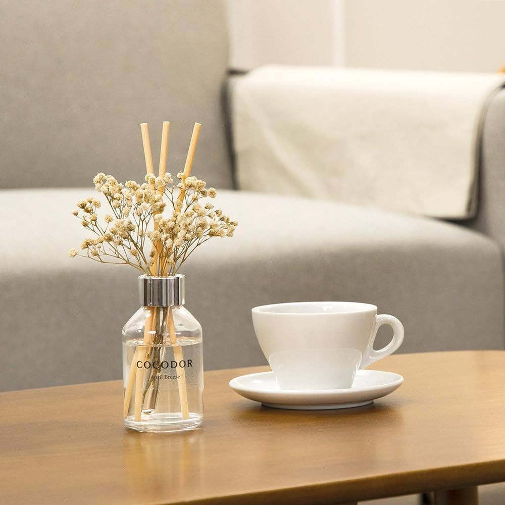 Cocodor Flower Diffuser – Schwarze Kirsche Duft 100 ml für elegante und sinnliche Wohnatmosphäre

Fruchtiger Raumduft Cocodor – Black Cherry Diffuser 100 ml mit dekorativer Blume und warmem Duftprofil

Cocodor Flower Diffuser Black Cherry – edler Raumduft mit süßem Kirscharoma und luxuriösem Design