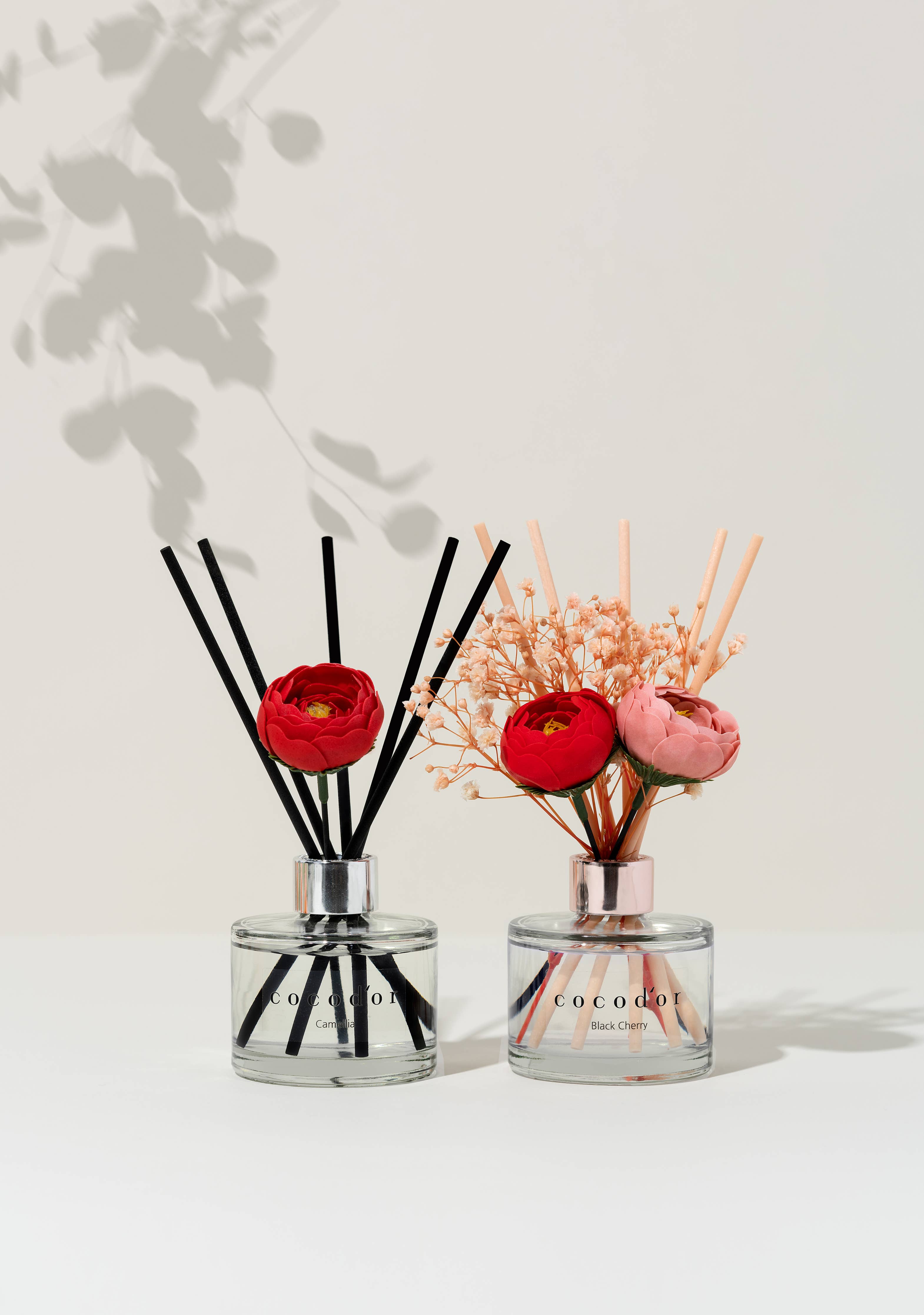 Premium Raumduft Cocodor 200 ml – Camelia Schwarzkirsche mit fruchtiger Süße und dekorativem Design für dein Zuhause

Cocodor Camelia Duftdiffuser – Schwarzkirsche 200 ml, handgefertigte Kamelienblüten und elegantes Glasdesign

Raumduft Diffuser Schwarzkirsche – Cocodor Camelia Serie für fruchtige Frische und luxuriöses Ambiente

Cocodor Reed Diffuser – Duft Schwarzkirsche 200 ml mit warm-süßem Aroma und langer Haltbarkeit