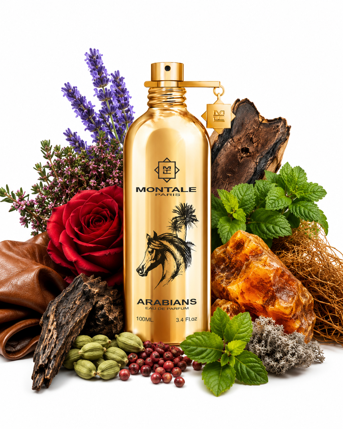 Montale Arabians 100ml kaufen – würziger Nischenduft mit Vetiver, Patchouli und Rose
Montale Arabians Eau de Parfum kaufen – intensiver orientalischer Duft mit Leder und Oud
Montale Arabians Parfum kaufen – holzig würziger Duft mit Ambra, Lavendel und Kardamom